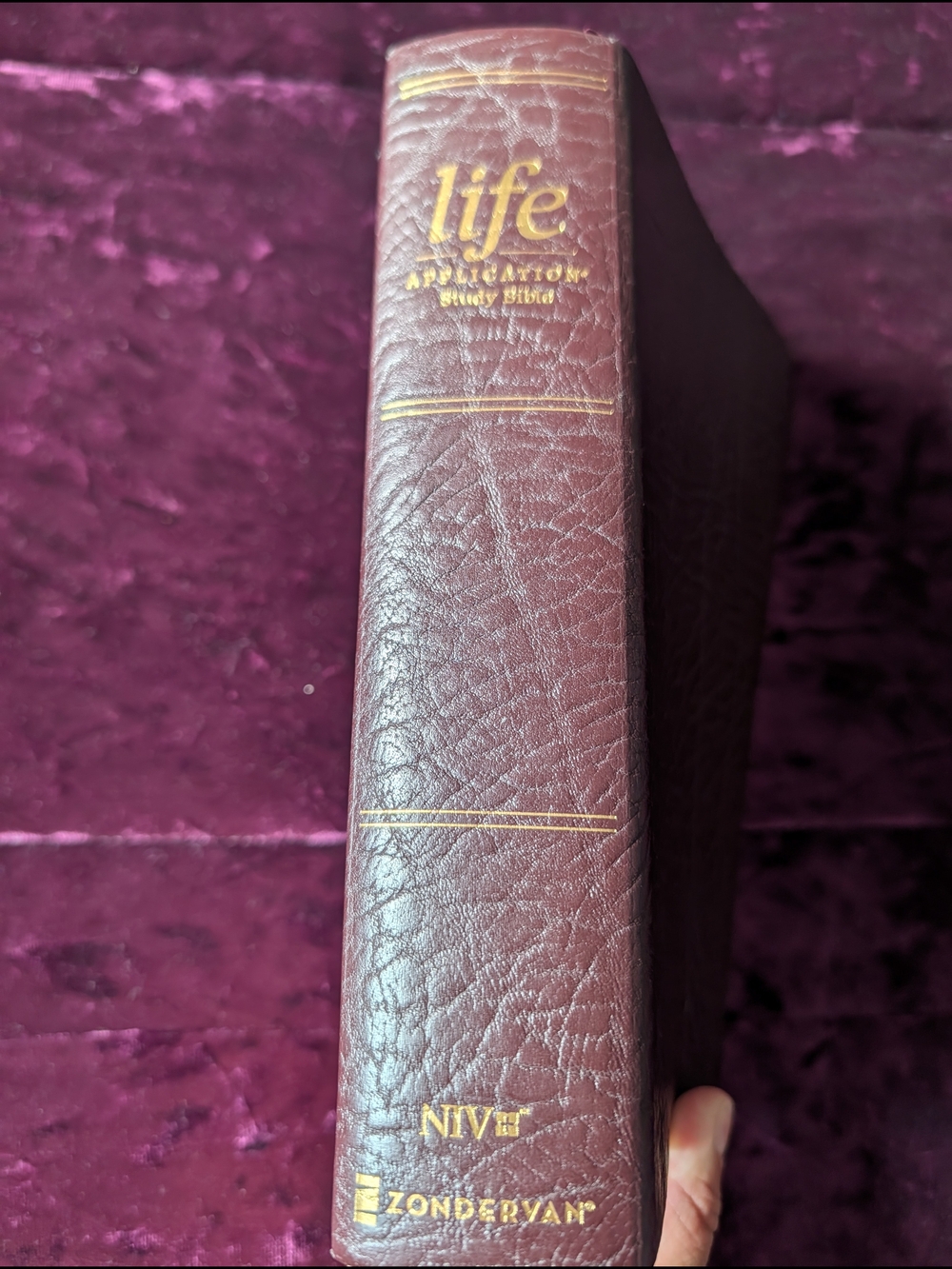 Personal Size Life Application Study Bible - Burgandy/Maroon Cover by Zondervan